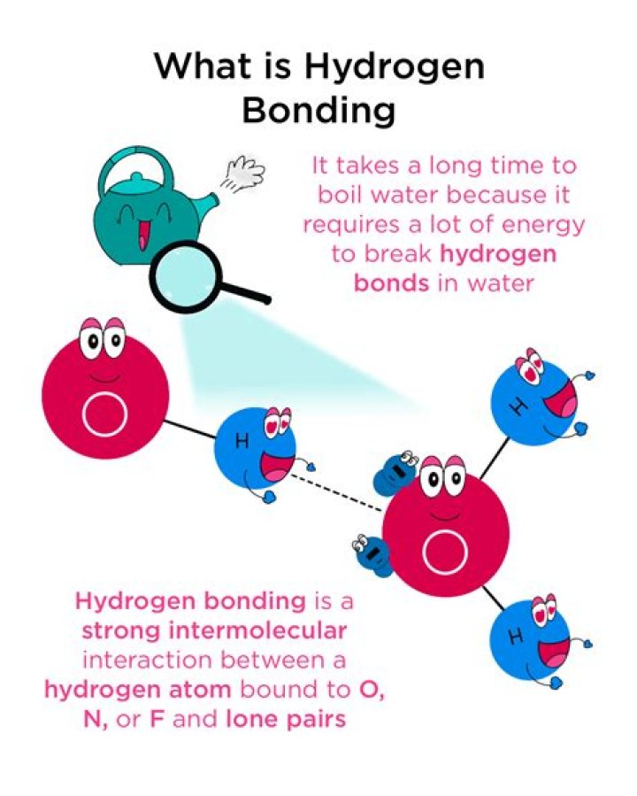 Why is hydrogen bonding only possible with hydrogen?