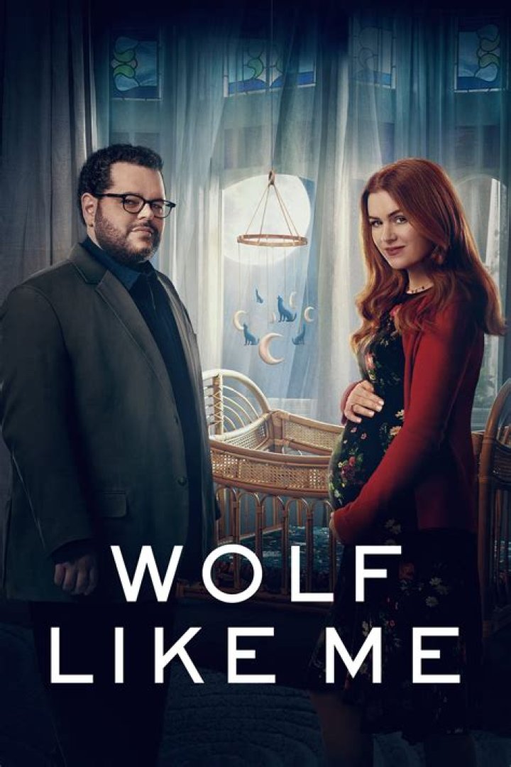 wolf like me 6