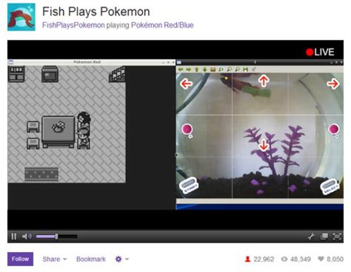 youtuber fish plays Pokemon on Nintendo Switch and commits credit card fraud